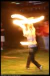 fd16.jpg (33kb)